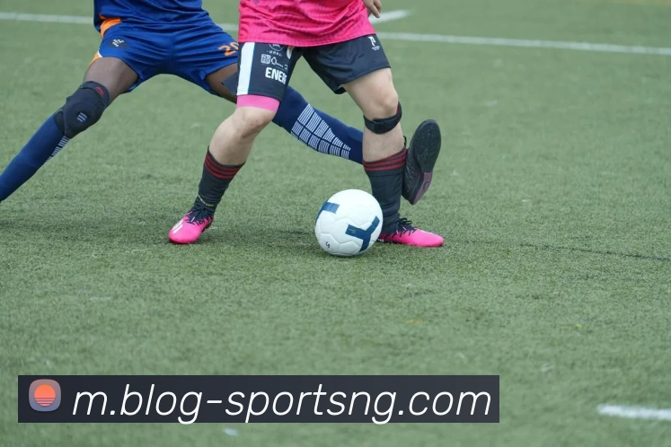 南宫体育平台生态图